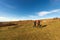 Two Female Hikers on the Lessinia High Plateau - Alps Veneto Italy