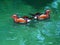 Two female of mandarin duck floating on clear water
