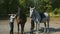 Two Female riders in riding clothes and helmets dismounted their horses