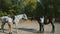 Two Female riders in riding clothes and helmets prepare to ride on their horses