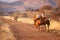 Two female riders watch giraffe cross track