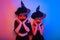 Two female witches are holding pumpkins in their hands instead of faces. Women in neon lights are celebrating a Halloween party.