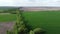 Two fields separated by a forest belt, aerial view. Agricultural landscape.