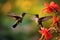 Two Fiery-throated Hummingbirds with Pink Flower