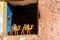 Two figures of camels on the window, Ait-Ben-Haddou, Morocco