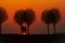 Two figures look like they`re treading on the setting sun