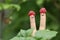 Two fingers with funny faces in raspberry hats on green bush background