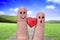 Two fingers are symbols of love couples,