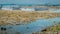 Two Fisher Boats at low tide near seaweed plantations algal - Nusa Penida, Bali, Indonesia