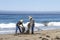 Two Fishermen at a daytime beach untangle lines from seaweed