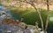 Two Fishermen Fishing for Trout on Jennings Creek