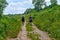 Two fishermen are walking along a meadow dirt road, view from the back. Male hikers with backpack and fishing rods among green