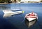 Two fishing boats with water reflections at Eretria Euboea Greece