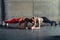 Two fit women doing plank exercise Fitness sport workout