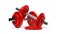 Two fitness gym dumbbells with chrome handle and red plates over white background, muscle exercise, workout, bodybuilding or