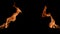 Two flames of fire blaze from different sides of screen in dark. Real bonfire, burner or torch flashes against black