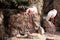 Two Flamingo birds enjoying the sunny day