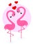 Two flamingo birds in love