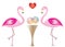 Two flamingos in love eating donuts - Valentines day theme