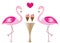 Two flamingos in love eating ice cream vector