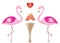 Two flamingos in love eating watermelon fruits vector