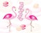 Two flamingos in love - Valentines day concept - pink macaroons vector