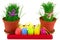 Two flowerpots with fresh grass and row of multicolor Easter egg