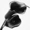 Two flowers of black calla