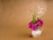 Two flowers and leaves of dog rose and some meadow grass in little white ceramic jug and lone doge rose petal on the background of