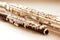 Two flute closeup