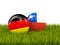 Two footballs with flags of Germany and Chile on green grass