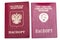 Two foreign passports - Russia and the Soviet Union