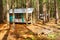 Two forest tent-houses after rain