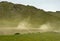 Two four-wheel-drive vehicles with tourists on a dusty dirt road