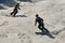 Two Free riders seen from side angle making a turn in Stowe Mountain resort in Vermont