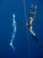 Two freedivers rise from the depth of Blue Hole