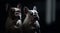 two french bulldogs sitting and looking at the camera on dark background