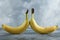 Two fresh banana side by side over grey background