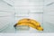 Two fresh bananas on shelf on refrigerator