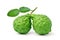 Two fresh Bergamot fruits with green leaf