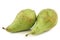 Two fresh conference pears