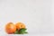 Two fresh glossy whole grapefruits on white wooden background with copy space.