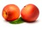 Two fresh sweet peach