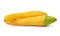 Two Fresh Vegetable yellow Zucchini on white background