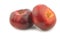 Two fresh wild flat nectarines