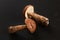 Two freshly picked mushrooms scaber stalk / Leccinum scabrum s