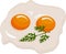 Two fried eggs in a frying pan cooked for breakfast. Delicious international meal. Homemade food, top view. Raster illustration on