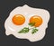 Two fried eggs in a frying pan cooked for breakfast. Delicious international meal. Homemade food, top view. Vector