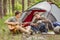 Two friend sitting in the tent, play the guitar and sing songs