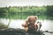 Two friends, bunny and teddy bear are sitting on shore of forest lake, dreaming and remembering. Back view
